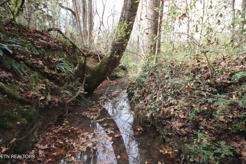 Tiny photo for 10 N Nopone Valley Rd., Decatur, TN 37322 (MLS # 1321856)