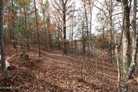 Tiny photo for 10 N Nopone Valley Rd., Decatur, TN 37322 (MLS # 1321856)
