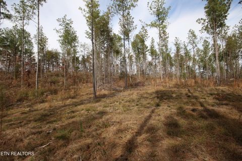Tiny photo for 10 N Nopone Valley Rd., Decatur, TN 37322 (MLS # 1321856)
