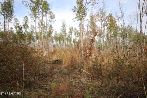Tiny photo for 10 N Nopone Valley Rd., Decatur, TN 37322 (MLS # 1321856)