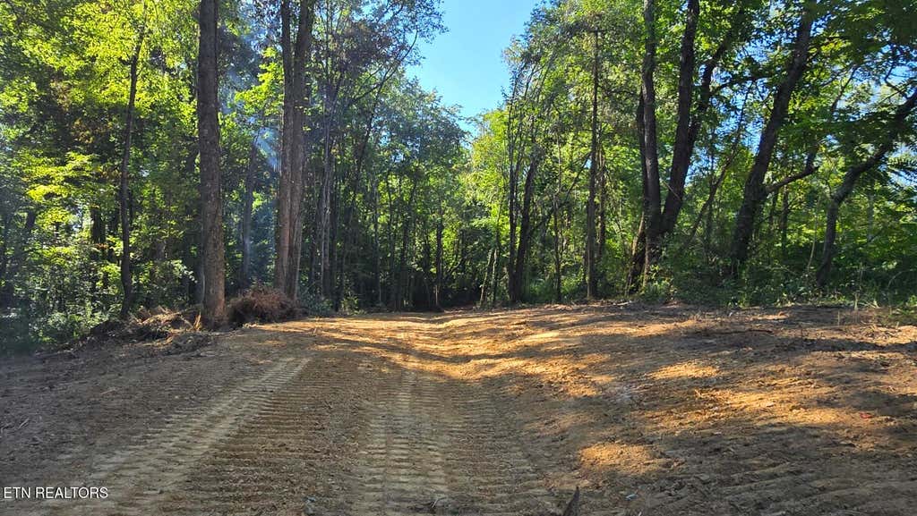 Photo of Shady Lane, Oneida, TN 37841 (MLS # 1353077)