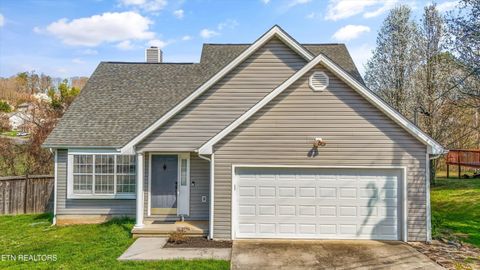 Photo of 8809 Barbee Lane, Knoxville, TN 37923 (MLS # 1332189)