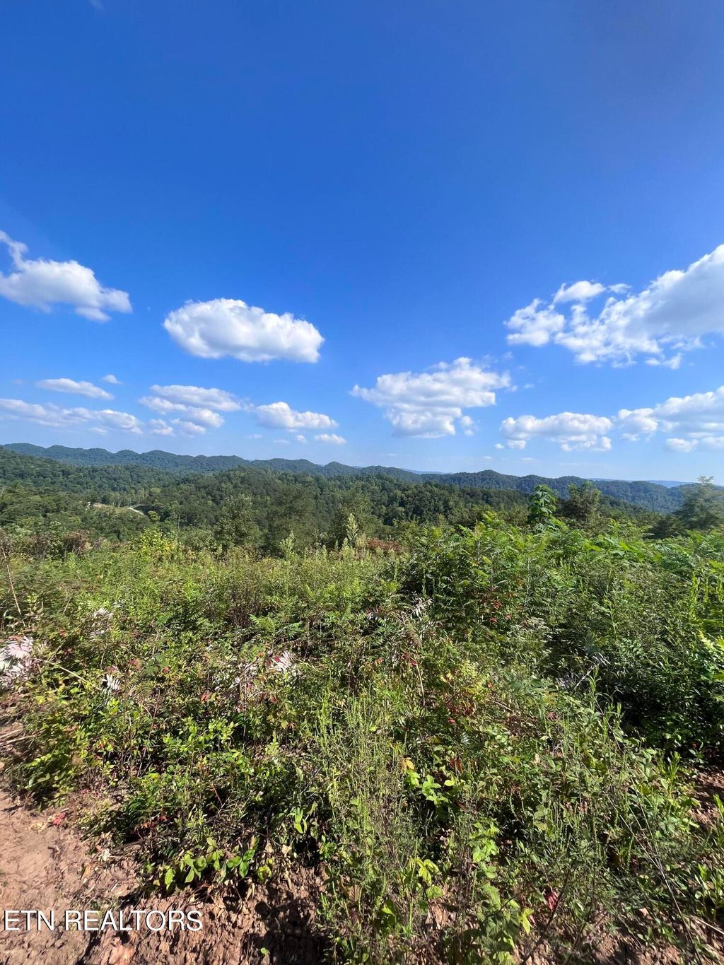 Photo of Tower Rd, Tazewell, TN 37879 (MLS # 1275180)