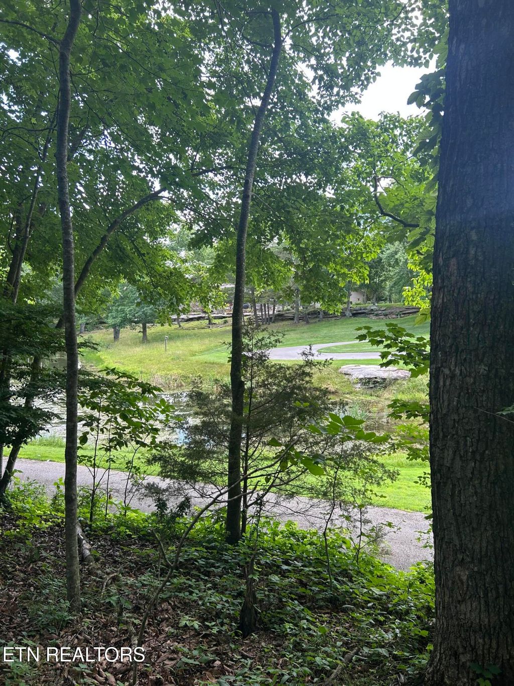 Photo of 26 Rolling Green Court, Fairfield Glade, TN 38558 (MLS # 1343874)