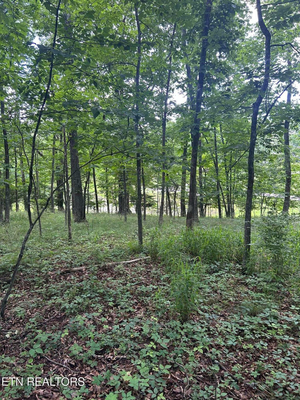 Photo of 26 Rolling Green Court, Fairfield Glade, TN 38558 (MLS # 1343874)
