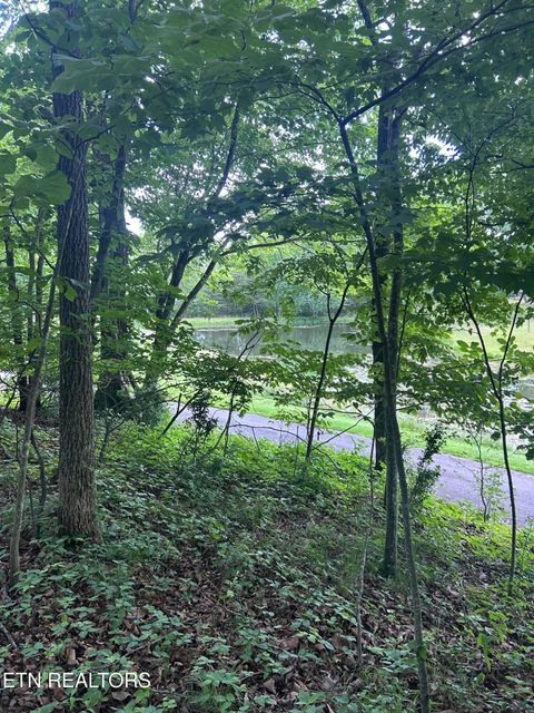 Photo of 26 Rolling Green Court, Fairfield Glade, TN 38558 (MLS # 1343874)