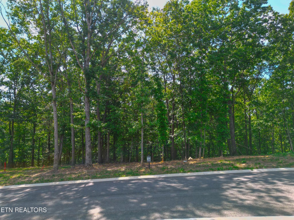 Photo of 215 Flip Flop Way, Loudon, TN 37774 (MLS # 1356035)
