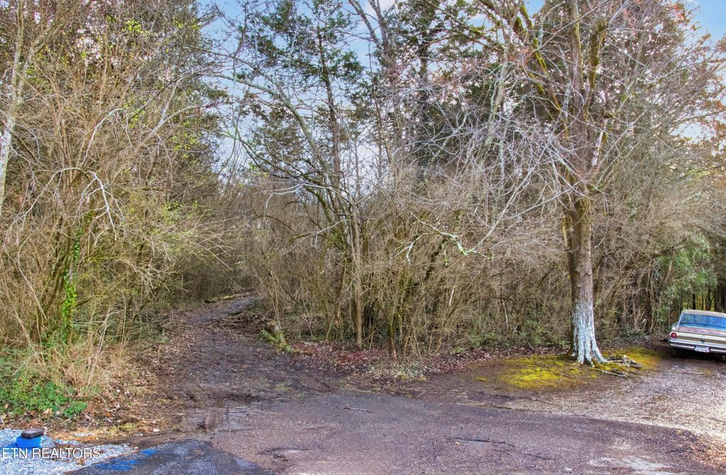 Photo of 734 Hialeah Drive, Knoxville, TN 37920 (MLS # 1331023)