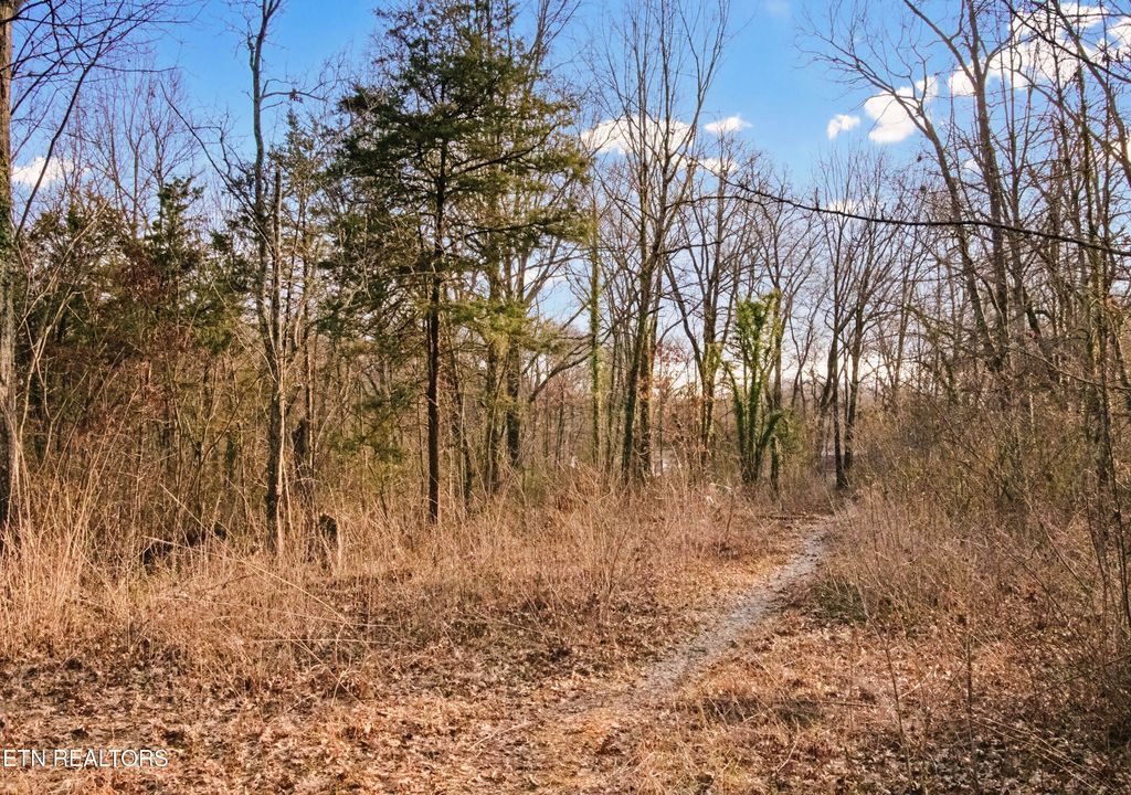 Photo of 734 Hialeah Drive, Knoxville, TN 37920 (MLS # 1331023)