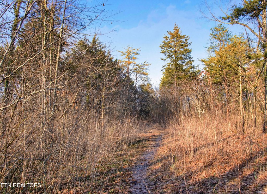 Photo of 734 Hialeah Drive, Knoxville, TN 37920 (MLS # 1331023)