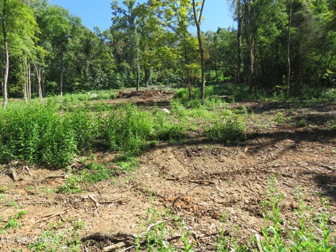 Tiny photo for 0 Watauga Rd, Cookeville, TN 38506 (MLS # 1355730)