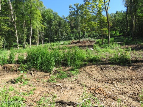 Tiny photo for 0 Watauga Rd, Cookeville, TN 38506 (MLS # 1355730)