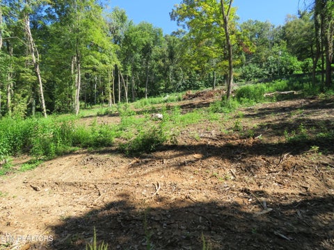 Tiny photo for 0 Watauga Rd, Cookeville, TN 38506 (MLS # 1355730)