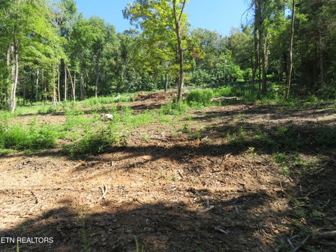 Tiny photo for 0 Watauga Rd, Cookeville, TN 38506 (MLS # 1355730)