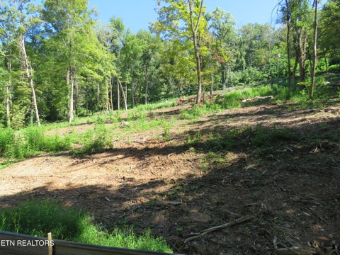 Tiny photo for 0 Watauga Rd, Cookeville, TN 38506 (MLS # 1355730)