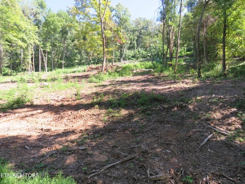 Tiny photo for 0 Watauga Rd, Cookeville, TN 38506 (MLS # 1355730)
