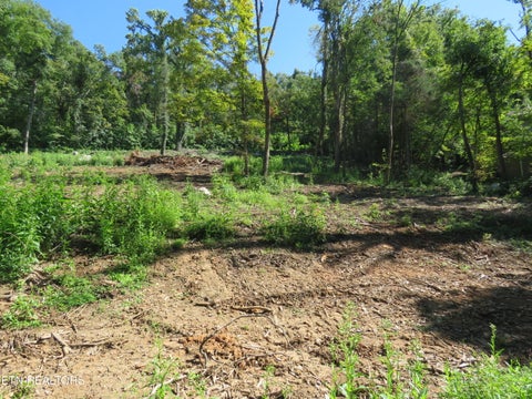 Tiny photo for 0 Watauga Rd, Cookeville, TN 38506 (MLS # 1355730)