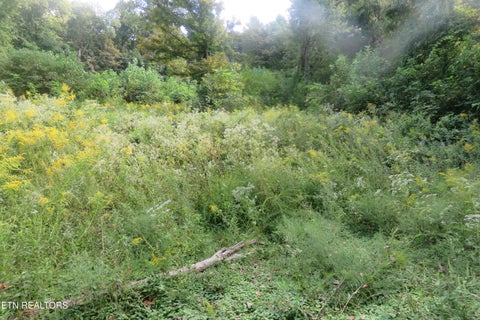 Tiny photo for 0 Watauga Rd, Cookeville, TN 38506 (MLS # 1355730)