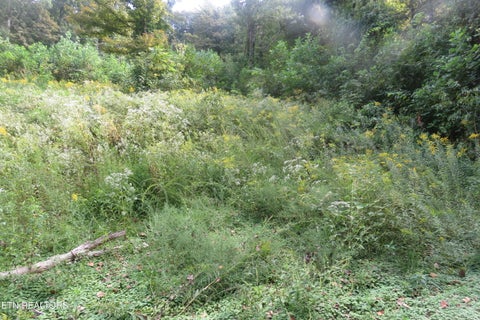 Tiny photo for 0 Watauga Rd, Cookeville, TN 38506 (MLS # 1355730)