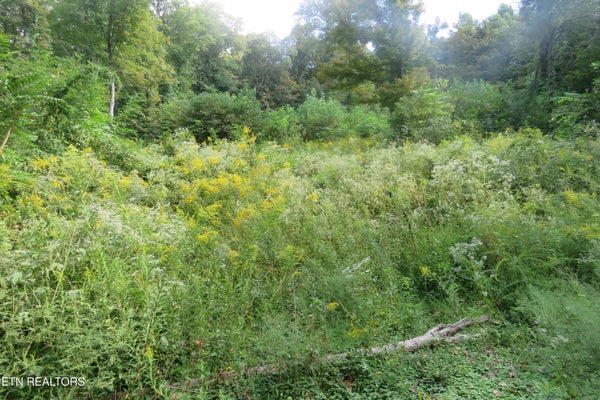 WATAUGA RD, COOKEVILLE, TN 38506 - Image 2e3420f152f35e147f04eb9ff3131fbf/4288694696