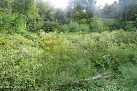Photo of 0 Watauga Rd, Cookeville, TN 38506 (MLS # 1355730)
