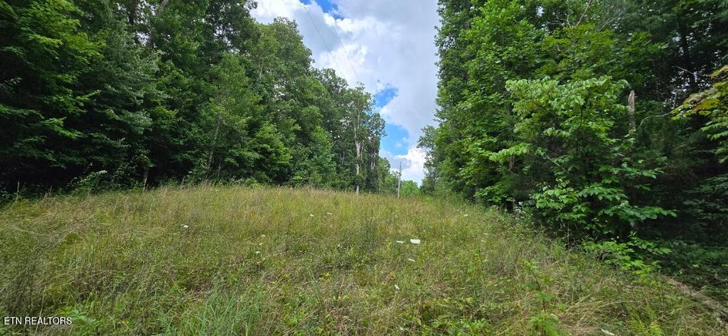 Photo of Honey Creek Loop Rd, Robbins, TN 37852 (MLS # 1349015)