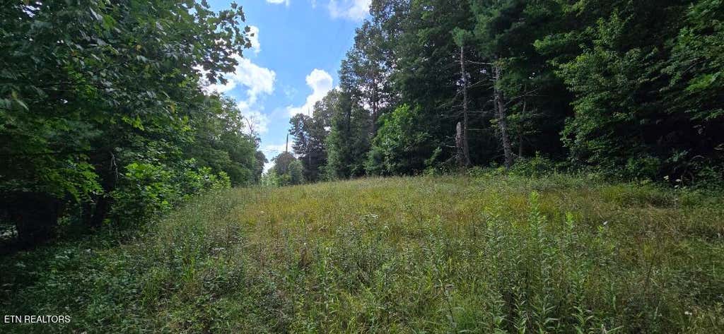 Photo of Honey Creek Loop Rd, Robbins, TN 37852 (MLS # 1349015)