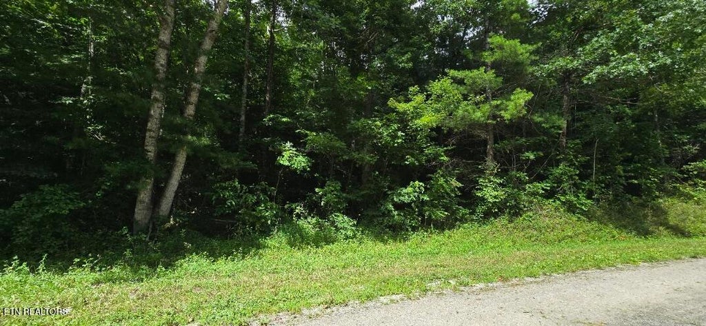Photo of Honey Creek Loop Rd, Robbins, TN 37852 (MLS # 1349015)