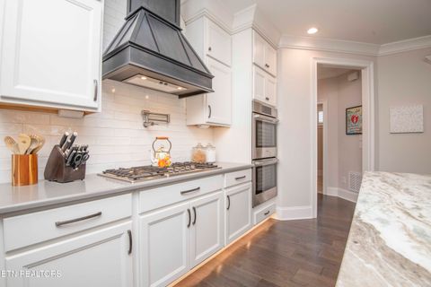 Tiny photo for 527 Colonial Ridge Lane, Knoxville, TN 37934 (MLS # 1329972)