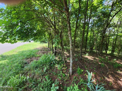 Featured picture for the property 1199373