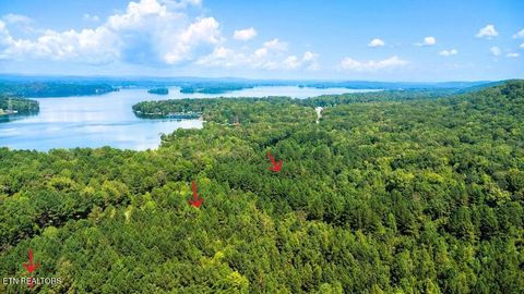Tiny photo for 34 State Highway 304, Ten Mile, TN 37880 (MLS # 1344027)