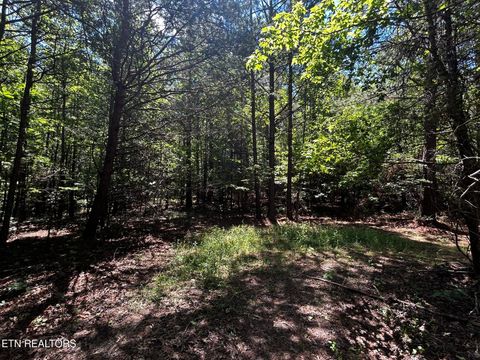 Tiny photo for 34 State Highway 304, Ten Mile, TN 37880 (MLS # 1344027)