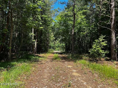 Tiny photo for 34 State Highway 304, Ten Mile, TN 37880 (MLS # 1344027)