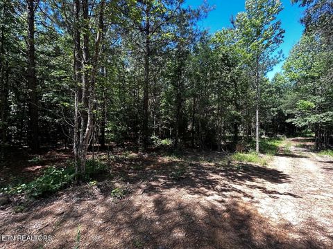 Tiny photo for 34 State Highway 304, Ten Mile, TN 37880 (MLS # 1344027)