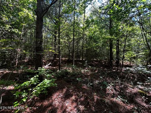 Tiny photo for 34 State Highway 304, Ten Mile, TN 37880 (MLS # 1344027)