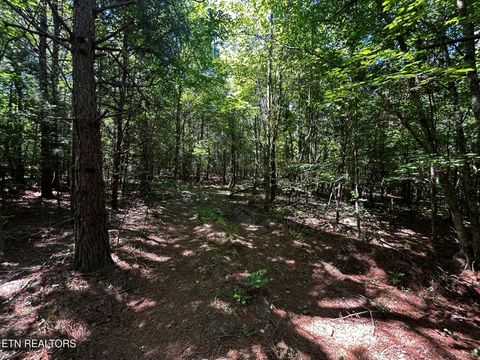 Tiny photo for 34 State Highway 304, Ten Mile, TN 37880 (MLS # 1344027)