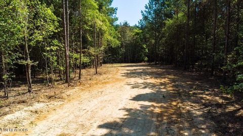 Tiny photo for 34 State Highway 304, Ten Mile, TN 37880 (MLS # 1344027)