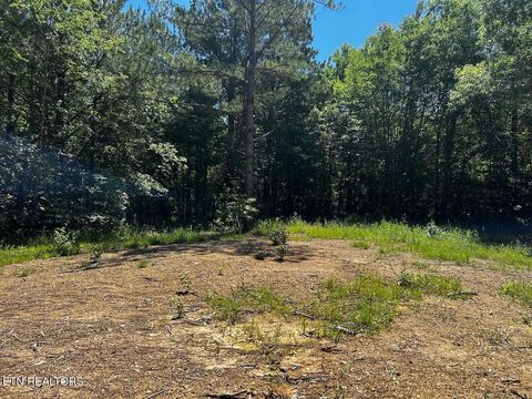 Tiny photo for 34 State Highway 304, Ten Mile, TN 37880 (MLS # 1344027)