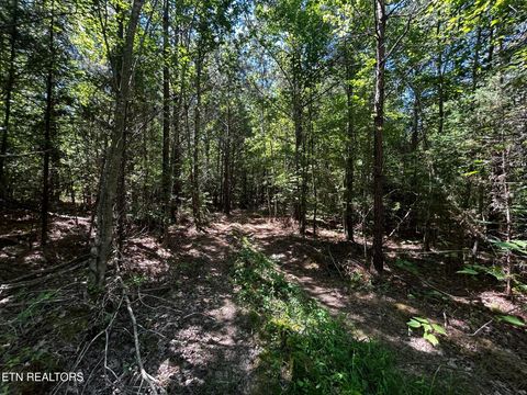 Tiny photo for 34 State Highway 304, Ten Mile, TN 37880 (MLS # 1344027)