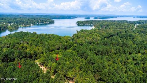 Tiny photo for 34 State Highway 304, Ten Mile, TN 37880 (MLS # 1344027)