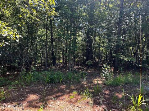 Tiny photo for 34 State Highway 304, Ten Mile, TN 37880 (MLS # 1344027)