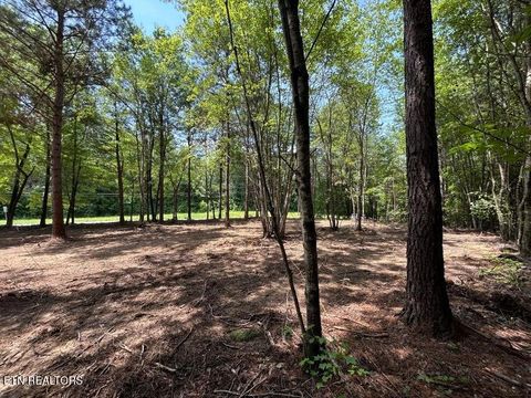 Tiny photo for 34 State Highway 304, Ten Mile, TN 37880 (MLS # 1344027)
