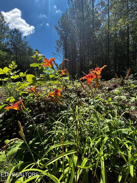 Tiny photo for 34 State Highway 304, Ten Mile, TN 37880 (MLS # 1344027)