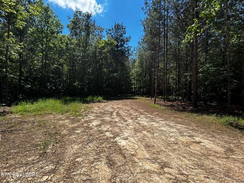 Tiny photo for 34 State Highway 304, Ten Mile, TN 37880 (MLS # 1344027)