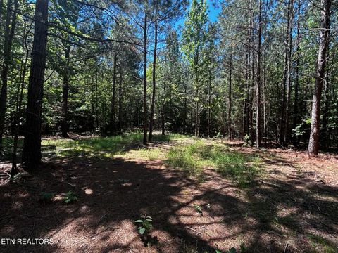 Tiny photo for 34 State Highway 304, Ten Mile, TN 37880 (MLS # 1344027)