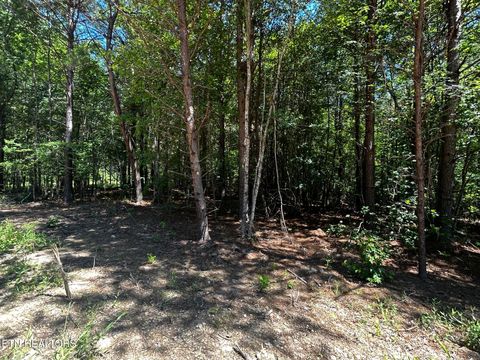 Tiny photo for 34 State Highway 304, Ten Mile, TN 37880 (MLS # 1344027)