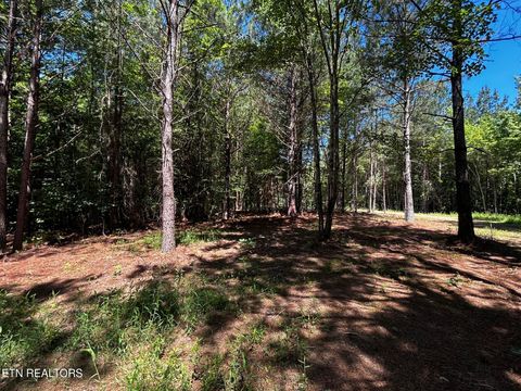 Tiny photo for 34 State Highway 304, Ten Mile, TN 37880 (MLS # 1344027)