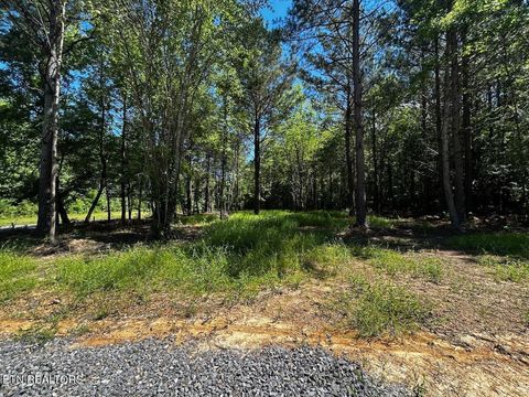 Tiny photo for 34 State Highway 304, Ten Mile, TN 37880 (MLS # 1344027)
