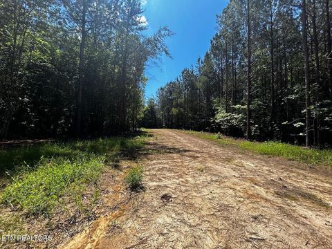 Tiny photo for 34 State Highway 304, Ten Mile, TN 37880 (MLS # 1344027)