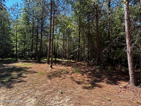 Tiny photo for 34 State Highway 304, Ten Mile, TN 37880 (MLS # 1344027)